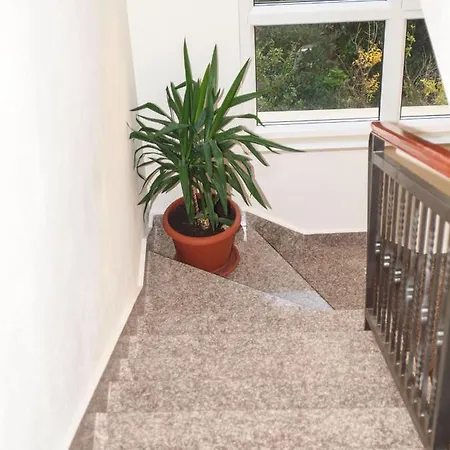 Apartman Puharic