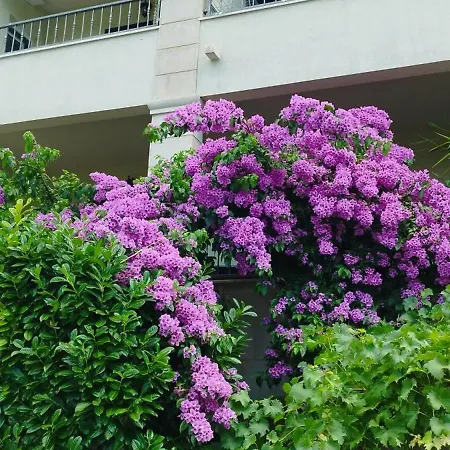 Puharic Apartman