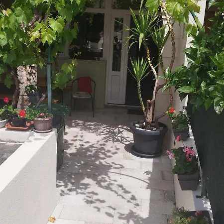 Puharic マカルスカ